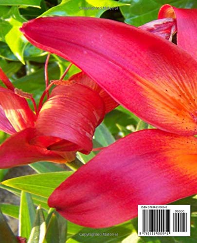 My Notes: 200 page College Ruled Composition Style Notebook